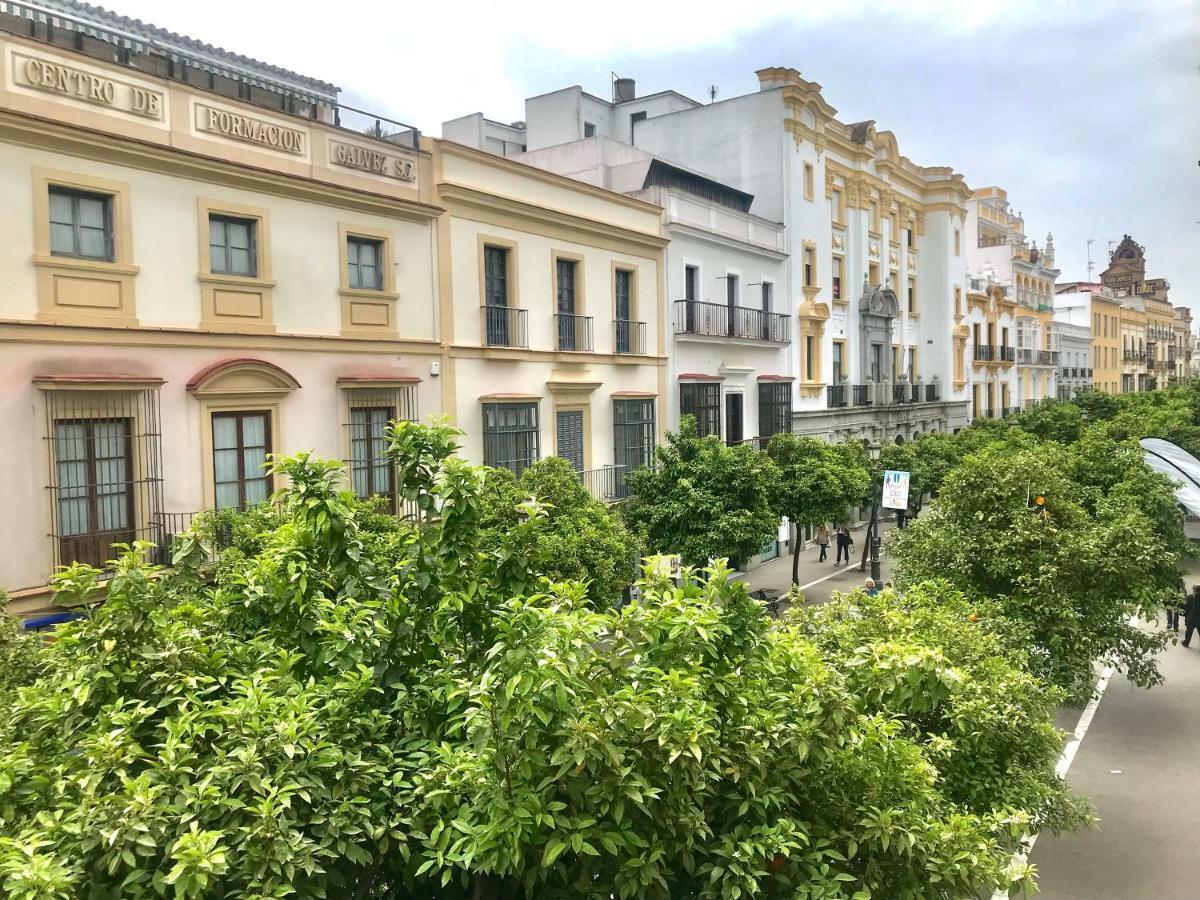 Apartamento Centro De Jerez Apartament Jerez de la Frontera Zewnętrze zdjęcie