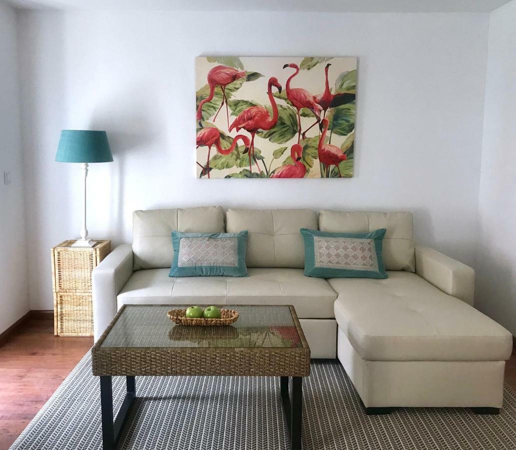 Apartamento Centro De Jerez Apartament Jerez de la Frontera Zewnętrze zdjęcie